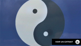 Les 8 pices de Brocart et les 5 animaux ... exercices de Qi Gong en video